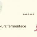 Kurz Fermentované nápoje