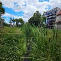 n�hled souboru