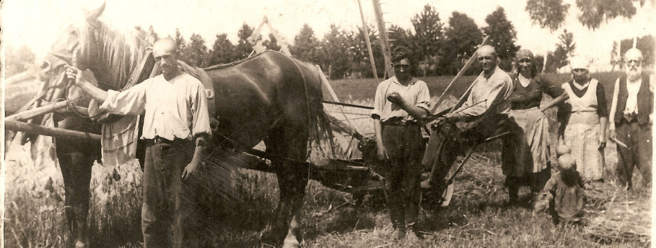 náhled souboru